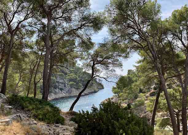 Photographie de rheaparks_app sur la randonnée "Calanque de Port-Pin"