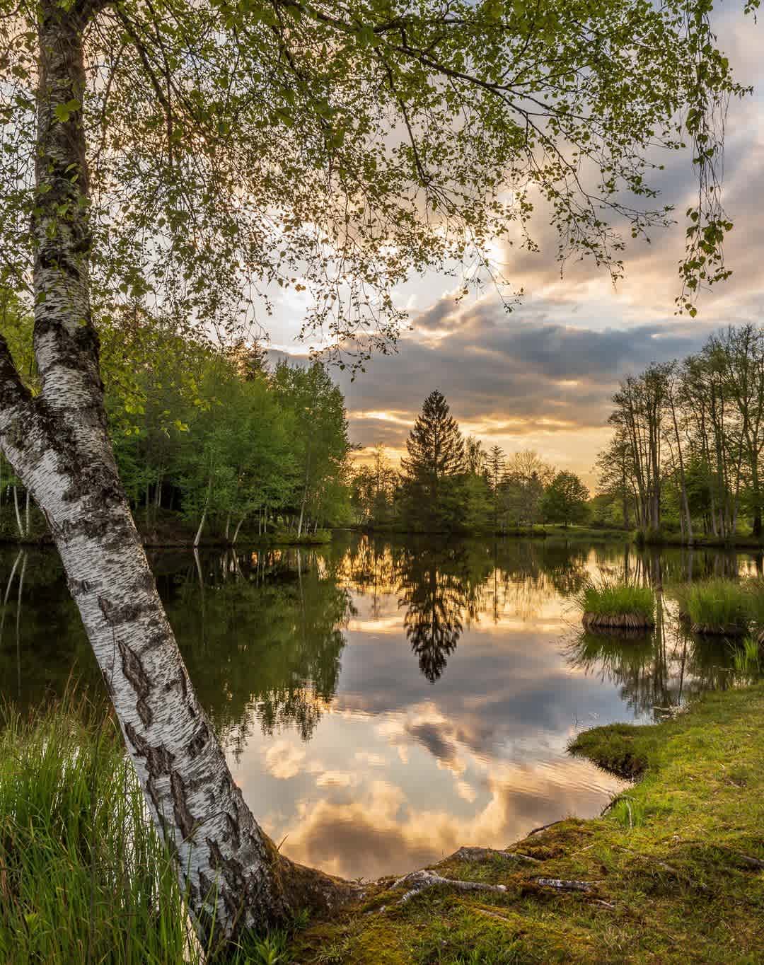 Photographie de patrice.galmiche sur la randonnée "Les 1000 étangs depuis le Plateau des Grilloux - Vosges"
