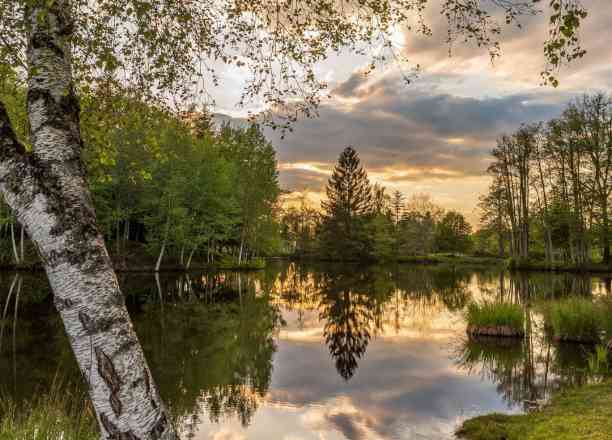 Photographie de patrice.galmiche dans le parc "Les 1000 étangs depuis le Plateau des Grilloux - Vosges"