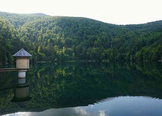 Photographie de patrick68600 dans le parc "Lac du Ballon"