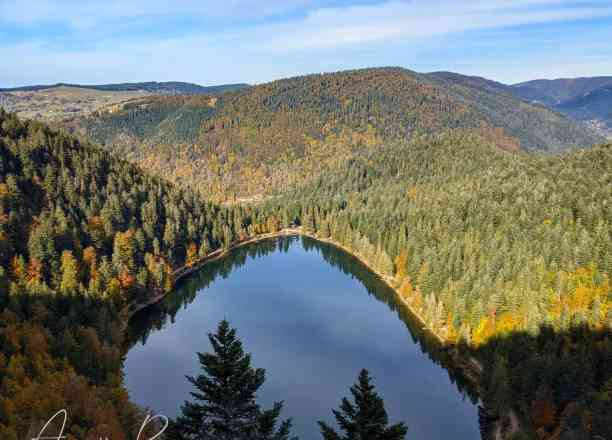 Photographie de anais.b_photographie01 dans le parc "Lac des Corbeaux"