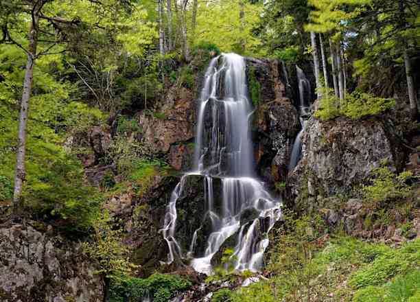 Photographie de therockinstork sur la randonnée "Cascade du Hohwald"