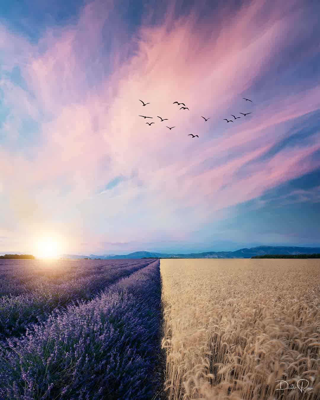 Photographie de dalv.rz sur la randonnée "La Trinité à Valensole"