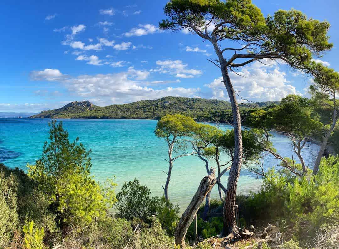 Photographie de floryse17 sur la randonnée "Tour de l'île de Porquerolles"