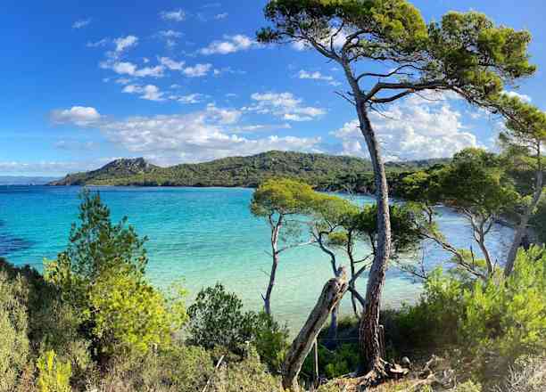 Photographie de floryse17 sur la randonnée "Tour de l'île de Porquerolles"