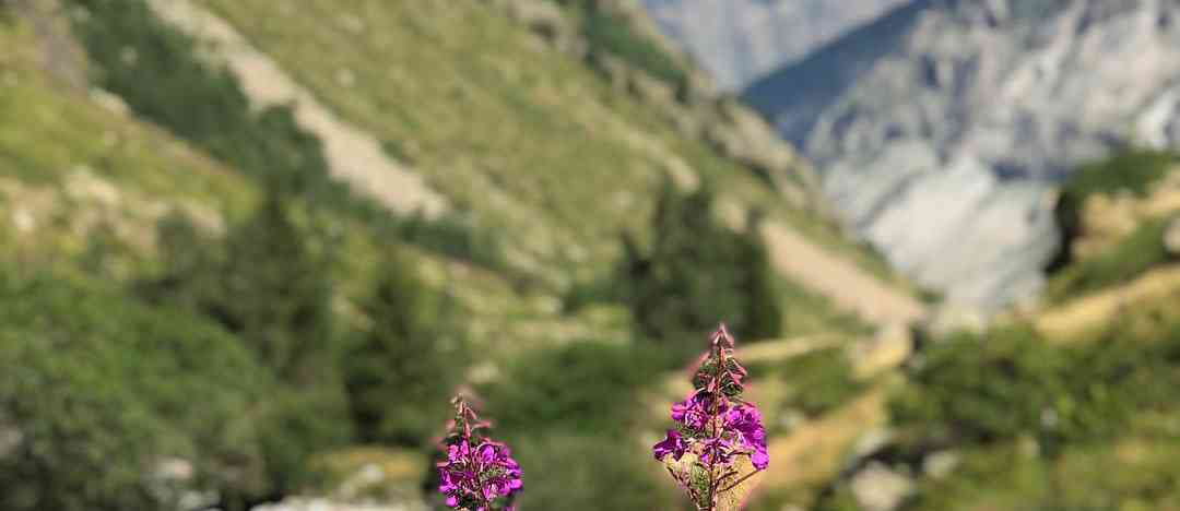 Photographie de barregabby sur la randonnée "Refuge de la Lavey et Lac des Rouies en boucle"