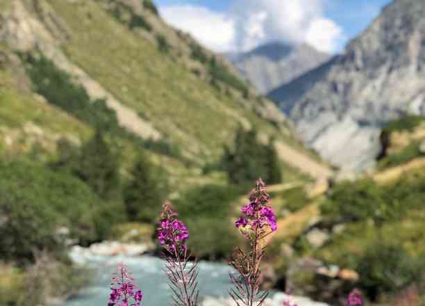 Photographie de barregabby dans le parc "Refuge de la Lavey et Lac des Rouies en boucle"