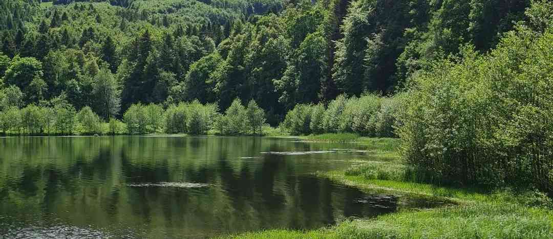 Photographie de seb.b.68 sur la randonnée "Lac de la Lauch en boucle"