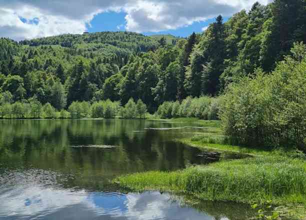 Photographie de seb.b.68 dans le parc "Lac de la Lauch en boucle"