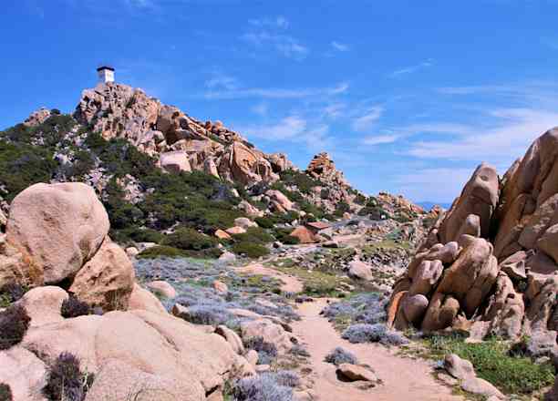 Photographie de lucie_servant sur la randonnée "Tour de Capu di Muru"