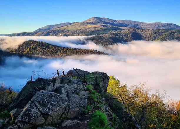 Photographie de objectif_paysage dans le parc "Viel Armand"