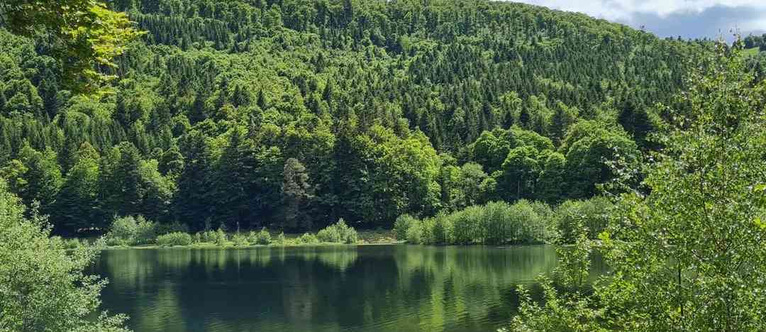 Photographie de seb.b.68 sur la randonnée "Route des crêtes - Markstein (Vosges)"