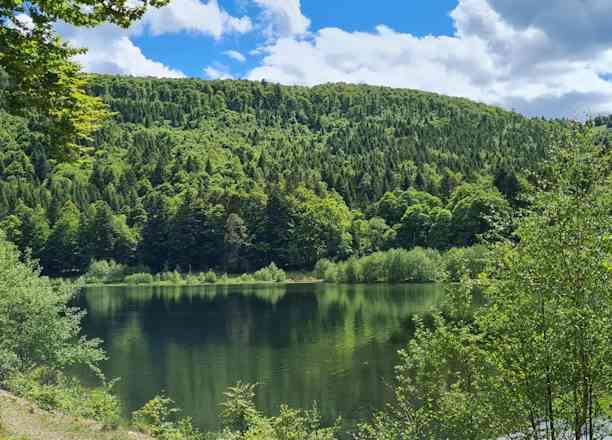 Photographie de seb.b.68 dans le parc "Route des crêtes - Markstein (Vosges)"