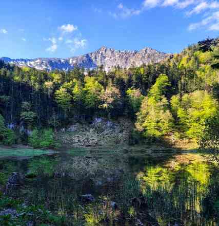 Photographie de paloumette dans le parc "Cascade d'Ars et étang de Guzet"