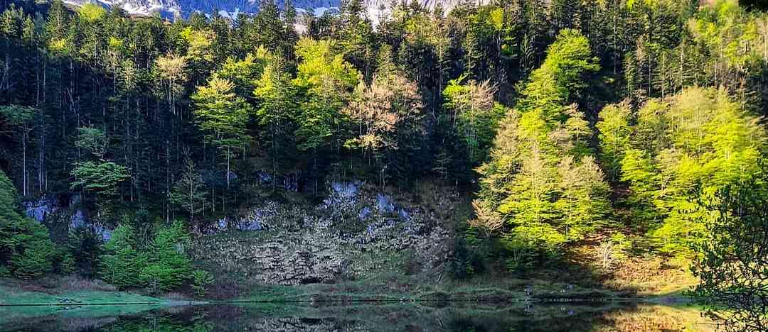 Photographie de paloumette sur la randonnée "Cascade d'Ars et étang de Guzet"