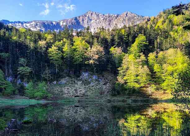 Photographie de paloumette dans le parc "Cascade d'Ars et étang de Guzet"