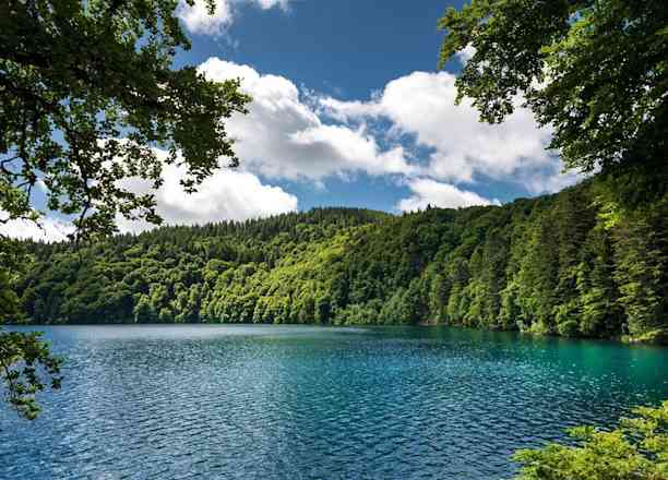 Photographie de zozz_bdr dans le parc "Tour du Lac Pavin"