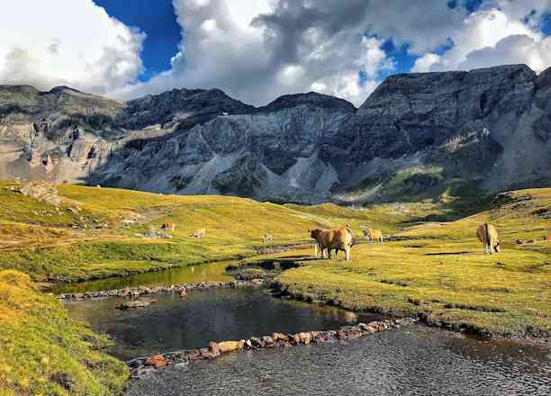 Photographie de ju_red_mex sur la randonnée "Cirque de Troumouse depuis Héas"