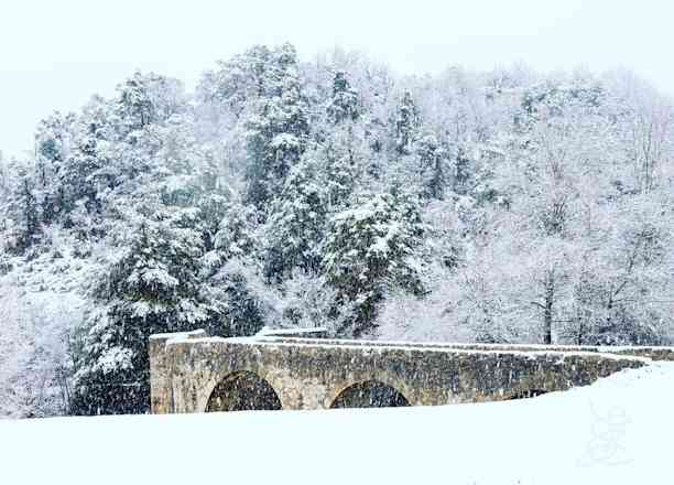 Photographie de elobjectif83 sur la randonnée "Comps sur Artuby - Le Pont de la Souche"