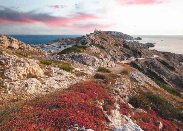 Photographie de maxime_berenger_photography dans le parc "Tour des Îles du Frioul"