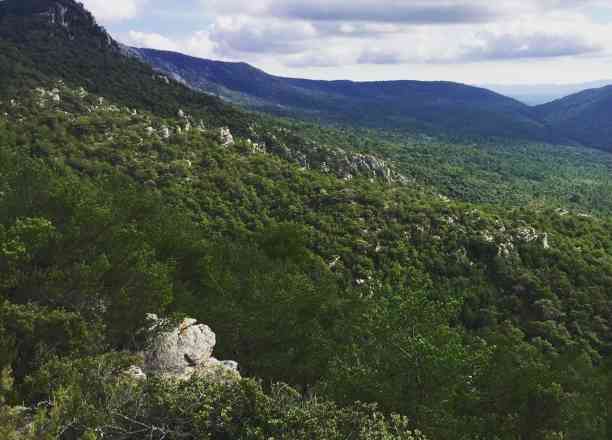 Photographie de hikeuse dans le parc "Aups - Notre-Dame de Liesse et Saint-Priest"