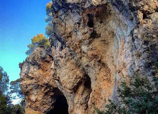 Photographie de mayjonnade dans le parc "Aups - Le sentier des grottes"
