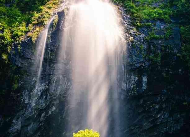 Photographie de titechwette dans le parc "La Grande Cascade - Mont-Dore"