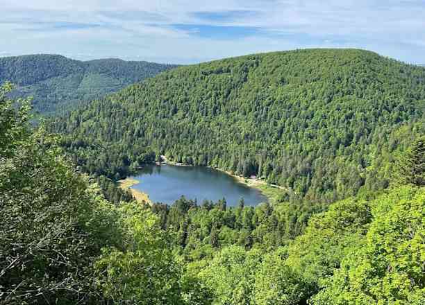 Photographie de damien.freytag dans le parc "Rainkopf, Rothenbachkopf et Lac de Blanchemer"