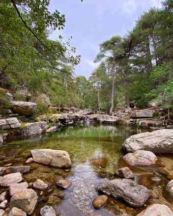 Photographie de sebonnaud dans le parc "Forêt et cascades d'Aïtone"