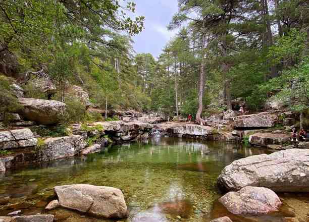 Photographie de sebonnaud dans le parc "Forêt et cascades d'Aïtone"