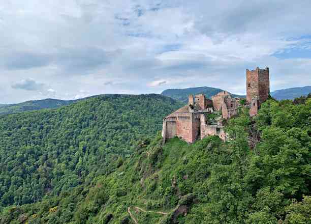 Photographie de cathy__xwx sur la randonnée "Les Trois Châteaux de Ribeauvillé"