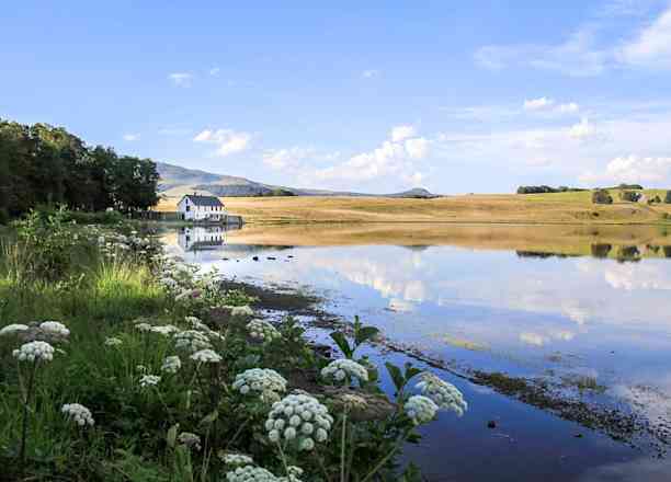 Photographie de jeanmichelberard dans le parc "Lac Chauvet et forêt de Montbert"