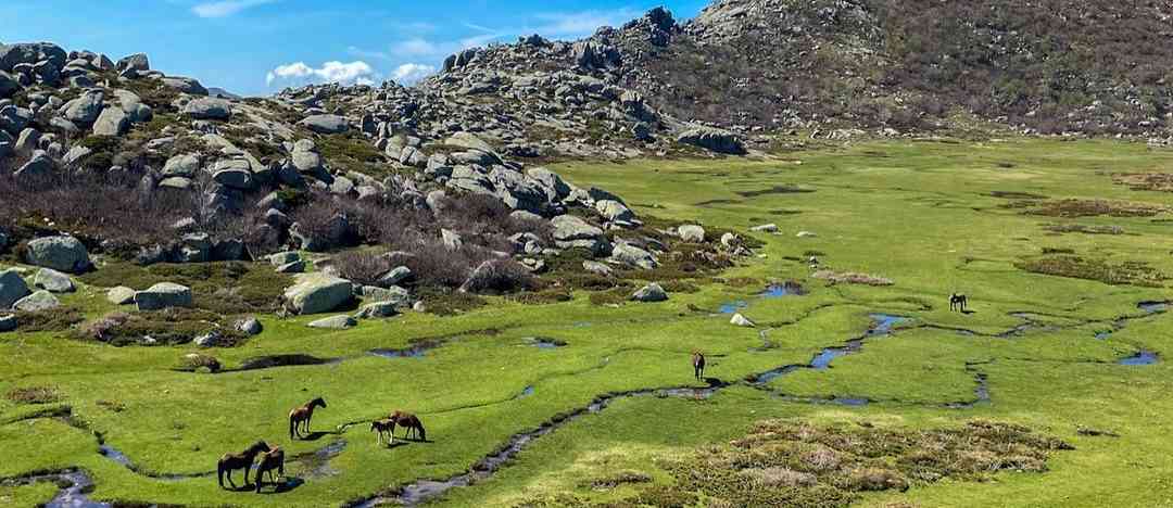 Photographie de imyonanne sur la randonnée "Plateau du Coscione"