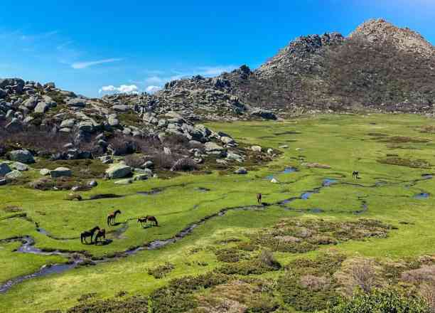 Photographie de imyonanne dans le parc "Plateau du Coscione"