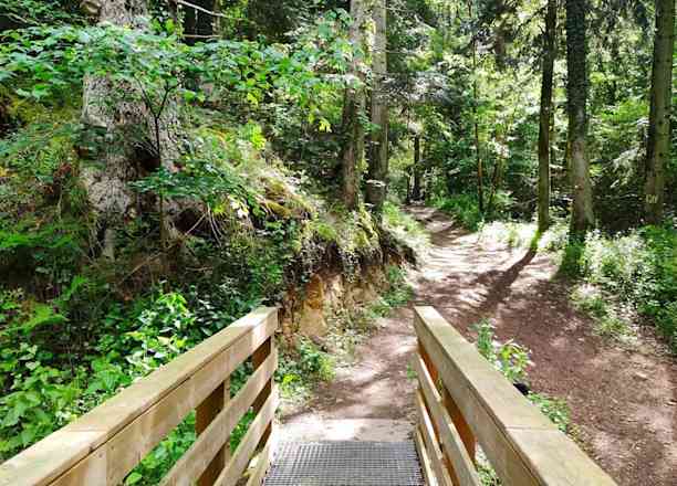Photographie de ju_dzy dans le parc "Gorges de Ceyrat"