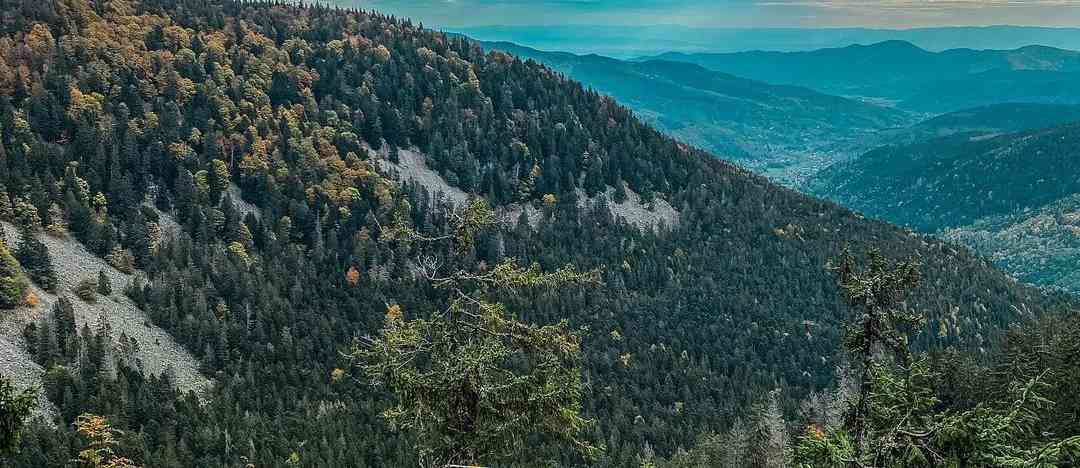 Photographie de david_alsace sur la randonnée "Sentier des Roches"