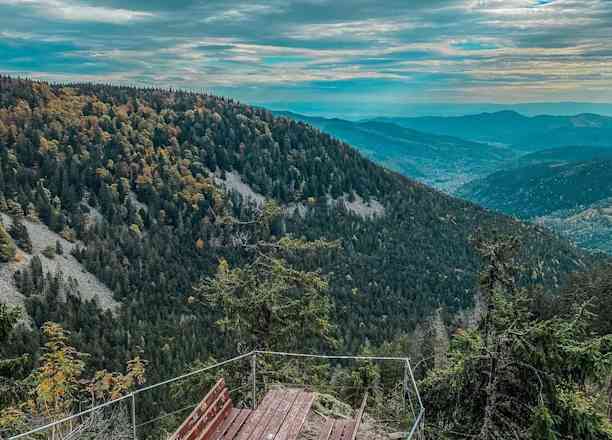 Photographie de david_alsace dans le parc "Sentier des Roches"