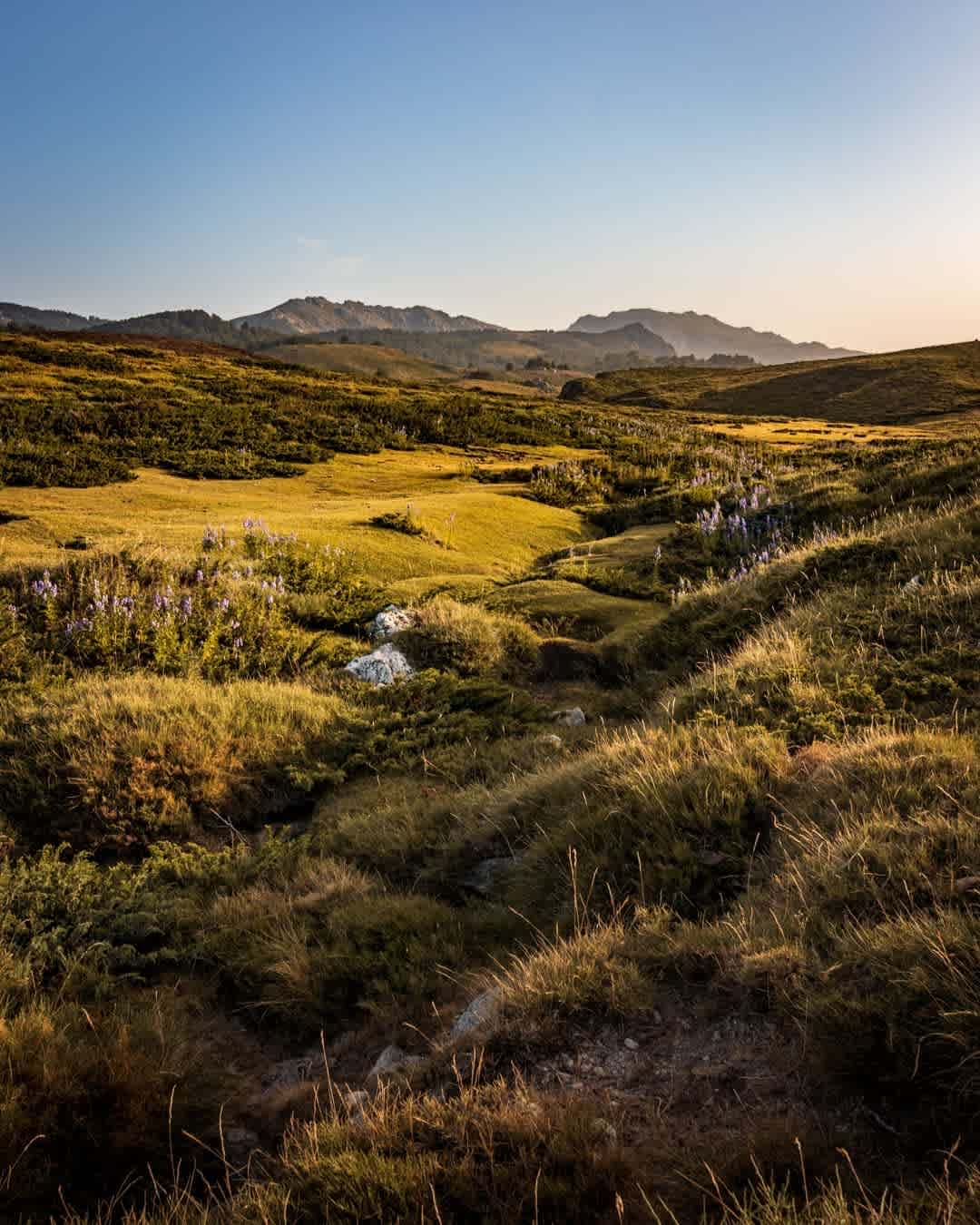 Photographie de lilia.andreani sur la randonnée "Plateau du Coscione - Sentier de l'eau"