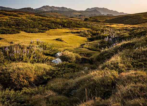 Photographie de lilia.andreani sur la randonnée "Plateau du Coscione - Sentier de l'eau"