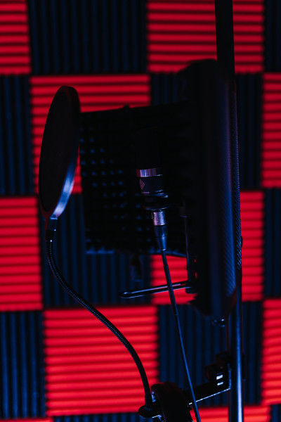Microphone in vocal booth