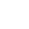 Instagram Footer icon