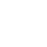 TikTok icon