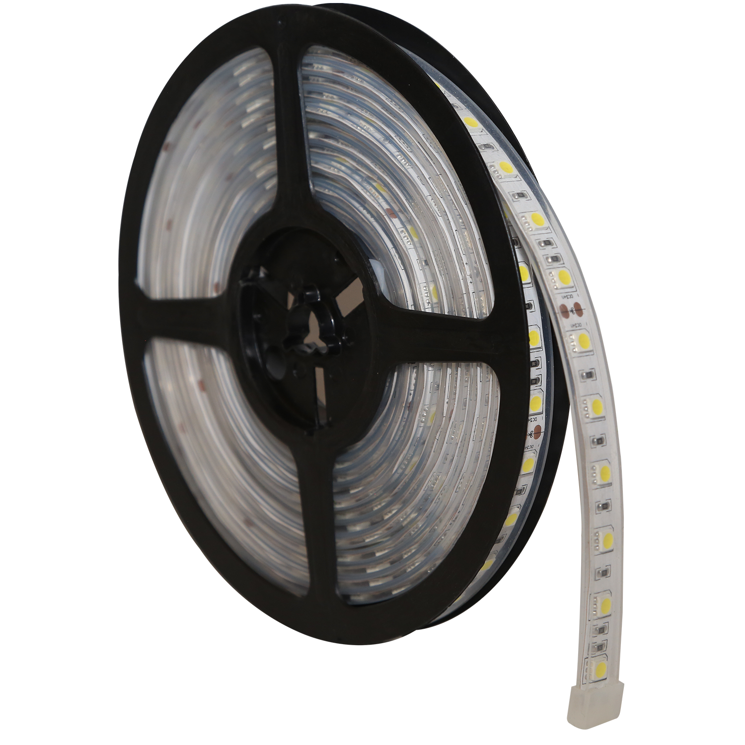 EW0100 Basic Series - ECCO