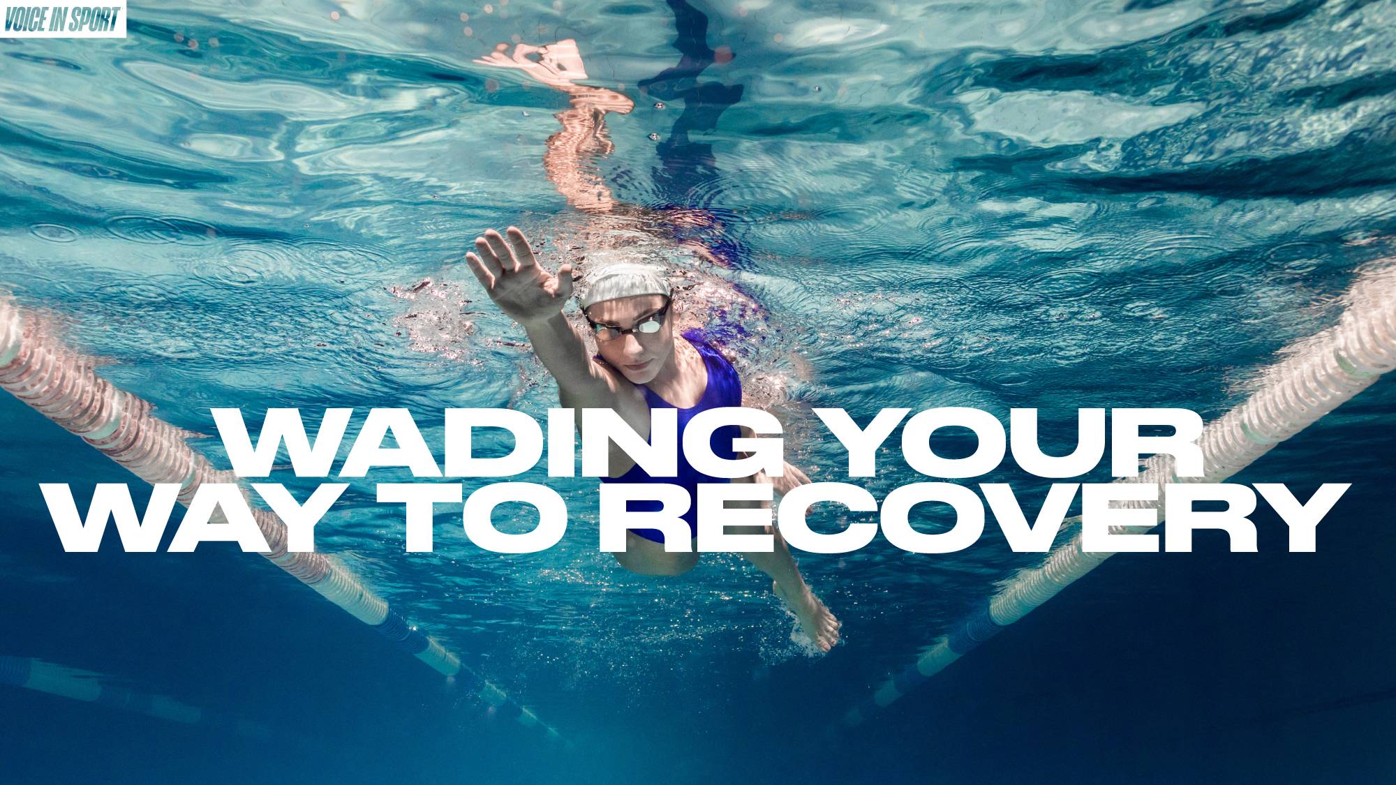 Wading recovery feed2