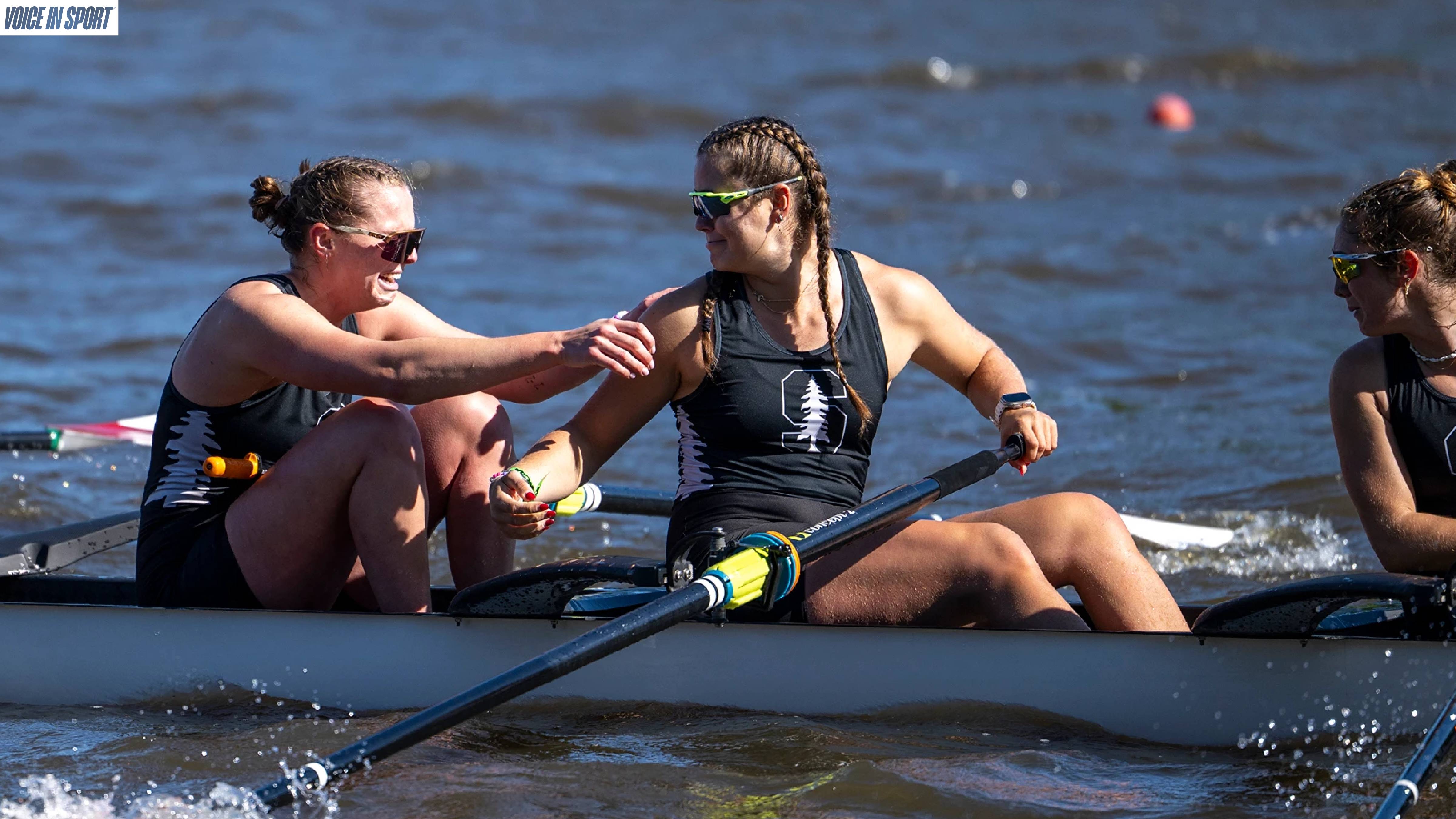 Dominance In Silence-Web