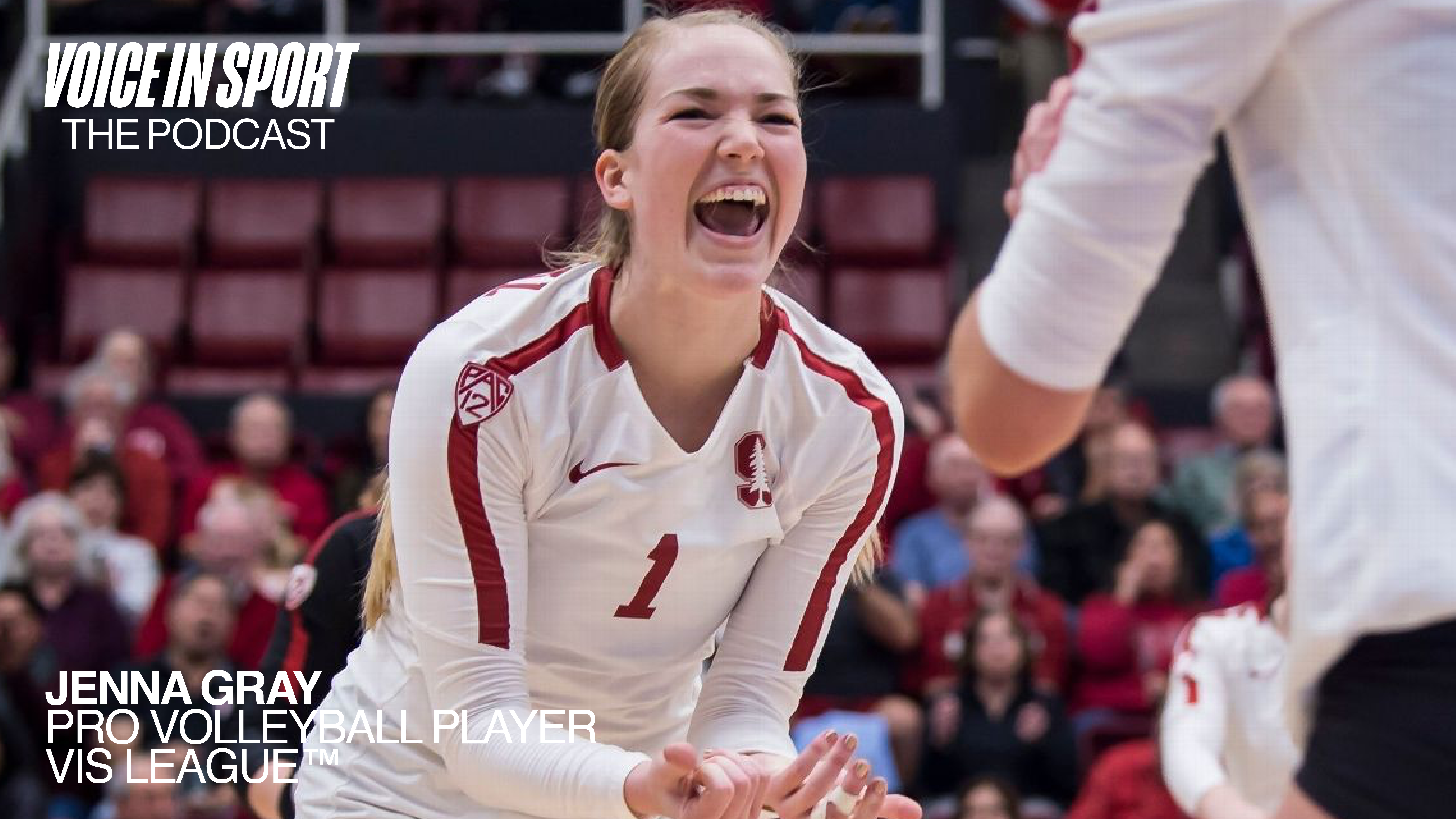 A D1 Athlete's Guide