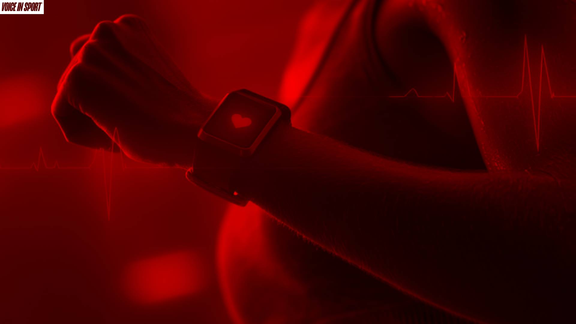 What+You+Need+to+Know+About+Fitness+Trackers+(Desktop+Wallpaper)