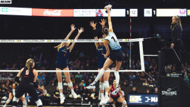 vis-post-Pro Volleyball Federation: A New League of Excellence