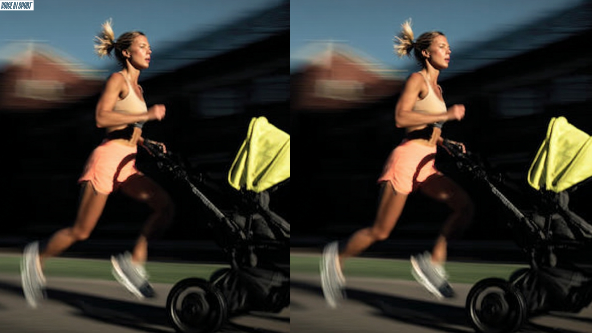 Motherhood Sports