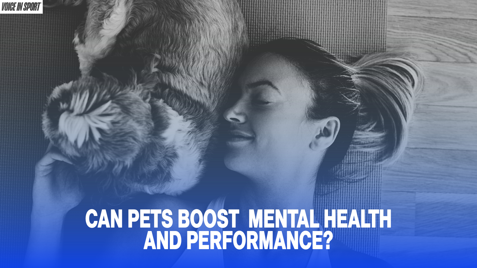 PETS+AND+PERFORMANCE